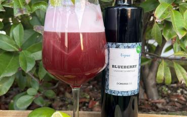 Blueberry Fizz